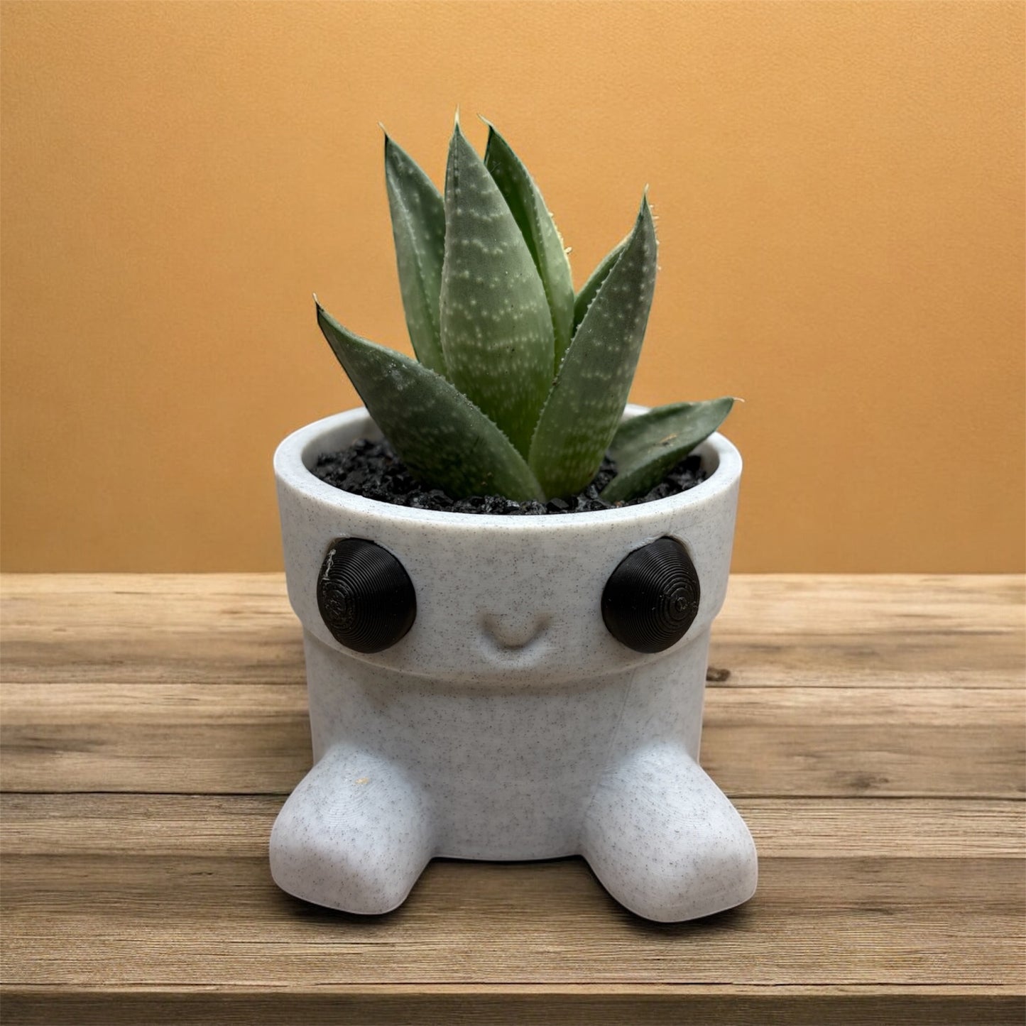 Gasteraloe Savanna Hybee 3D Planter