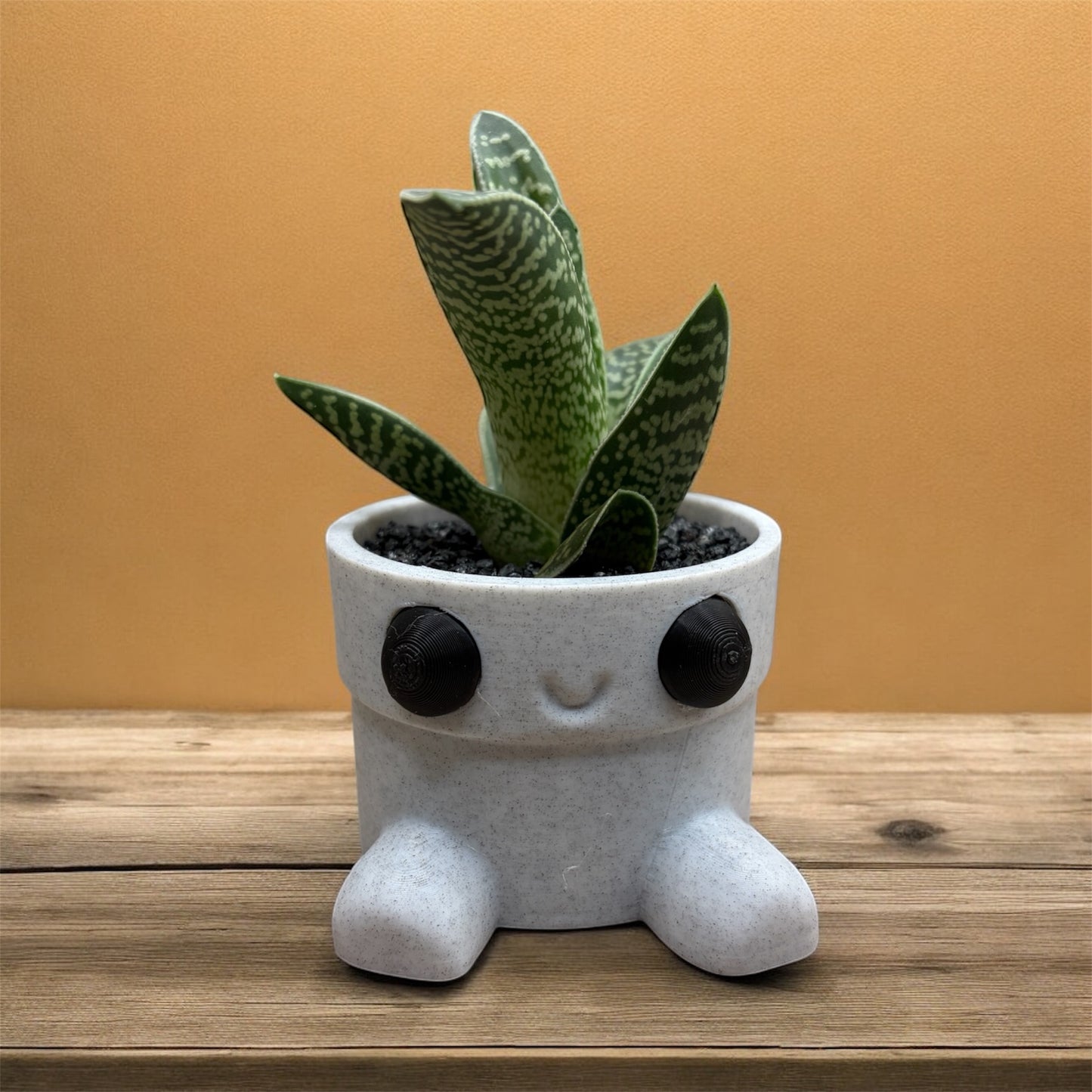 Gasteria Hybee 3D Planter