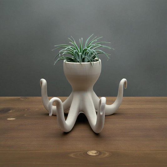 Tillandsia Ionantha Rubra Air Plant in Beige 3D Octopus