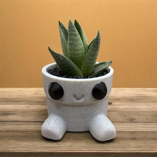 Gasteraloe Savanna Hybee 3D Planter
