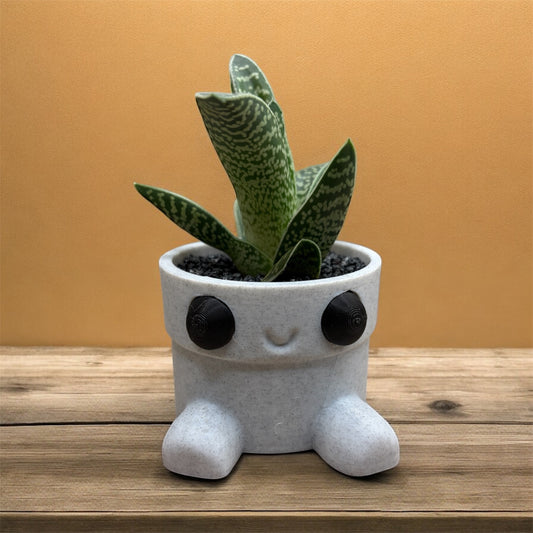 Gasteria Hybee 3D Planter