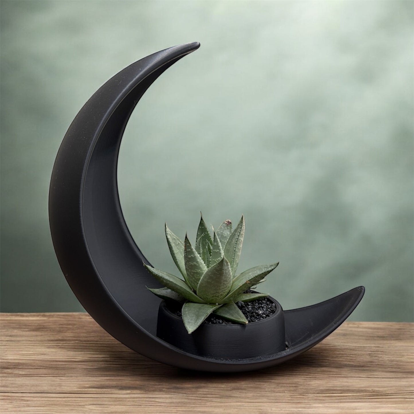 Gasteraloe Savanna Black Moon 3D Planter