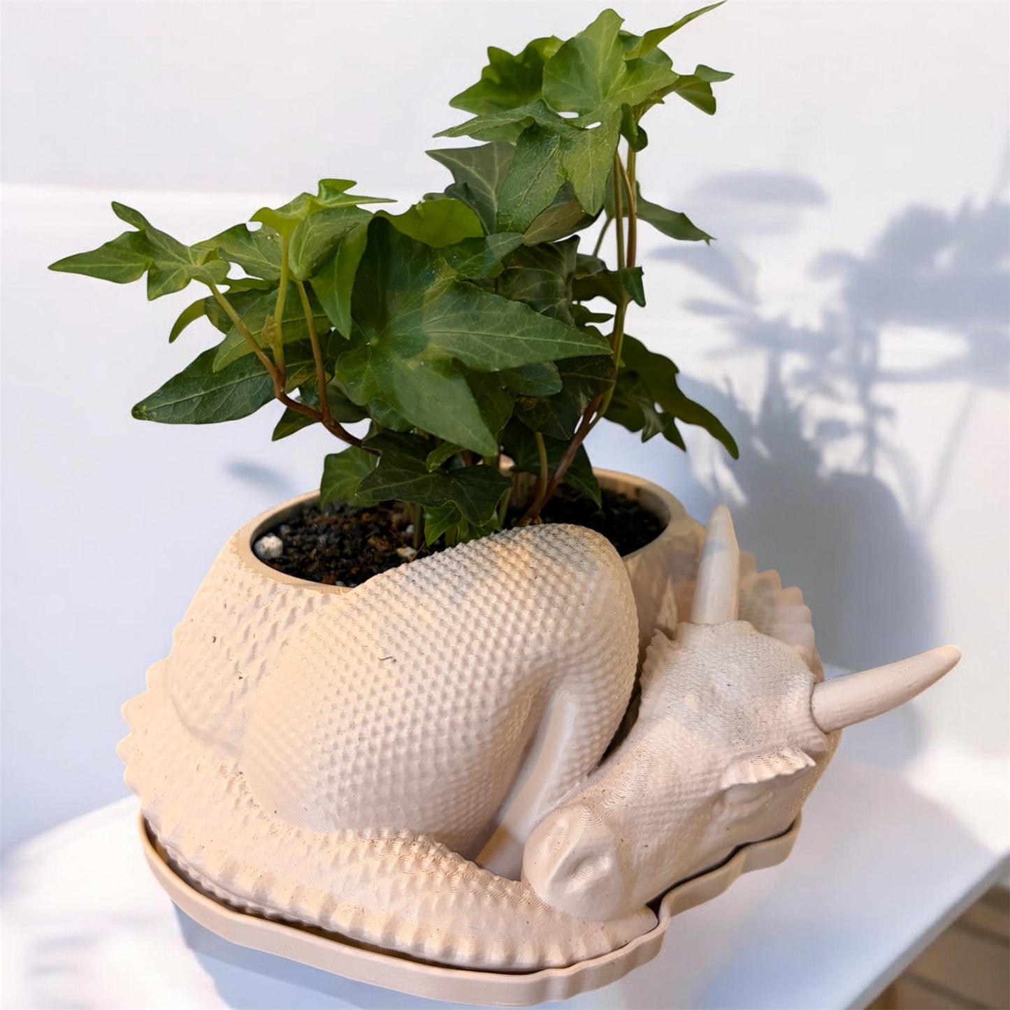 Dragon 3D Pot (Cream)