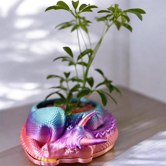 Dragon 3D Pot (Rainbow)