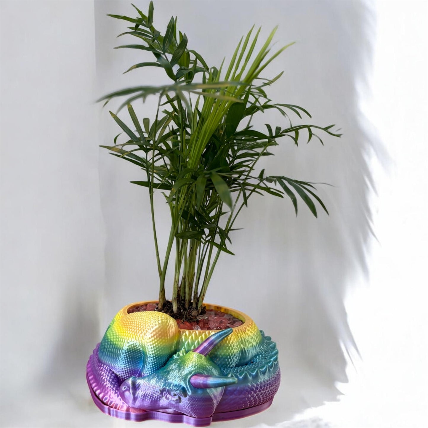 Dragon 3D Pot (Rainbow)
