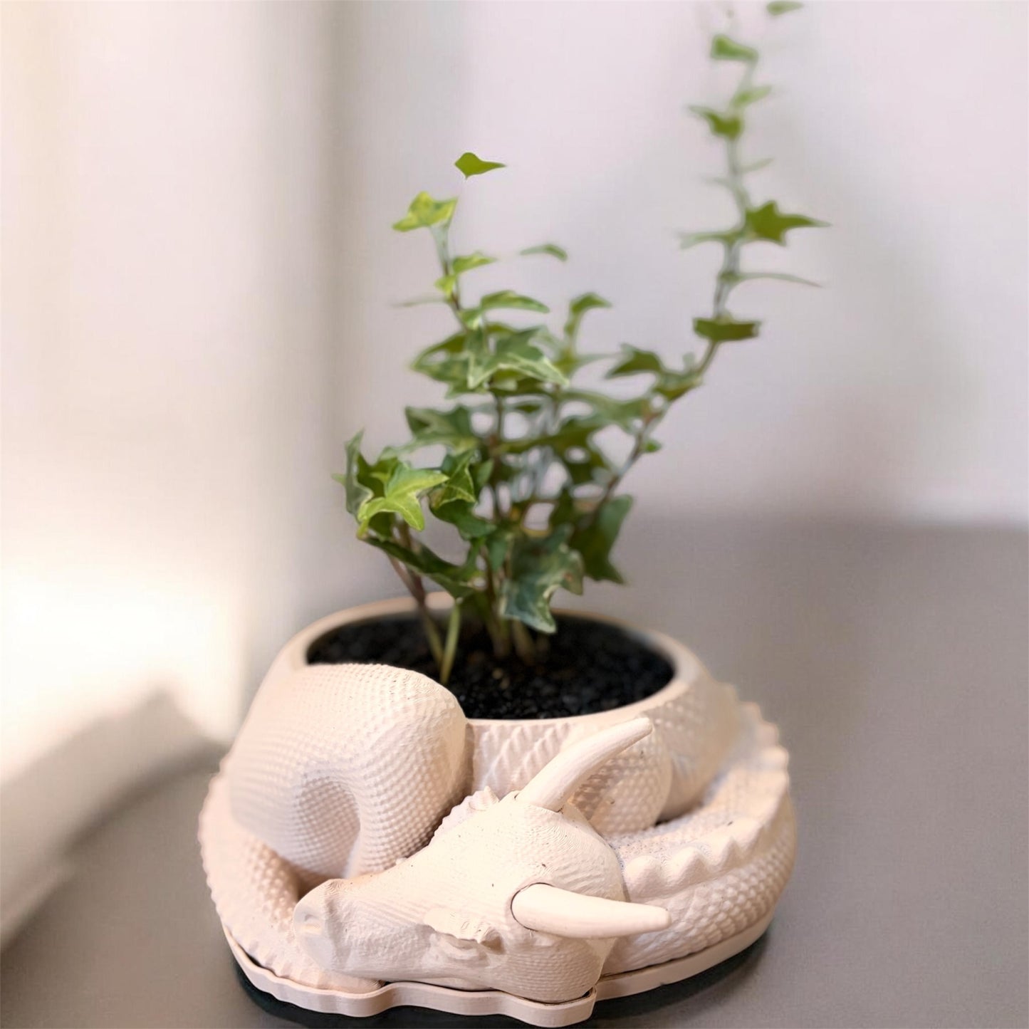Dragon 3D Pot (Cream)