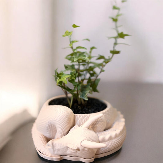 Dragon 3D Pot (Cream)